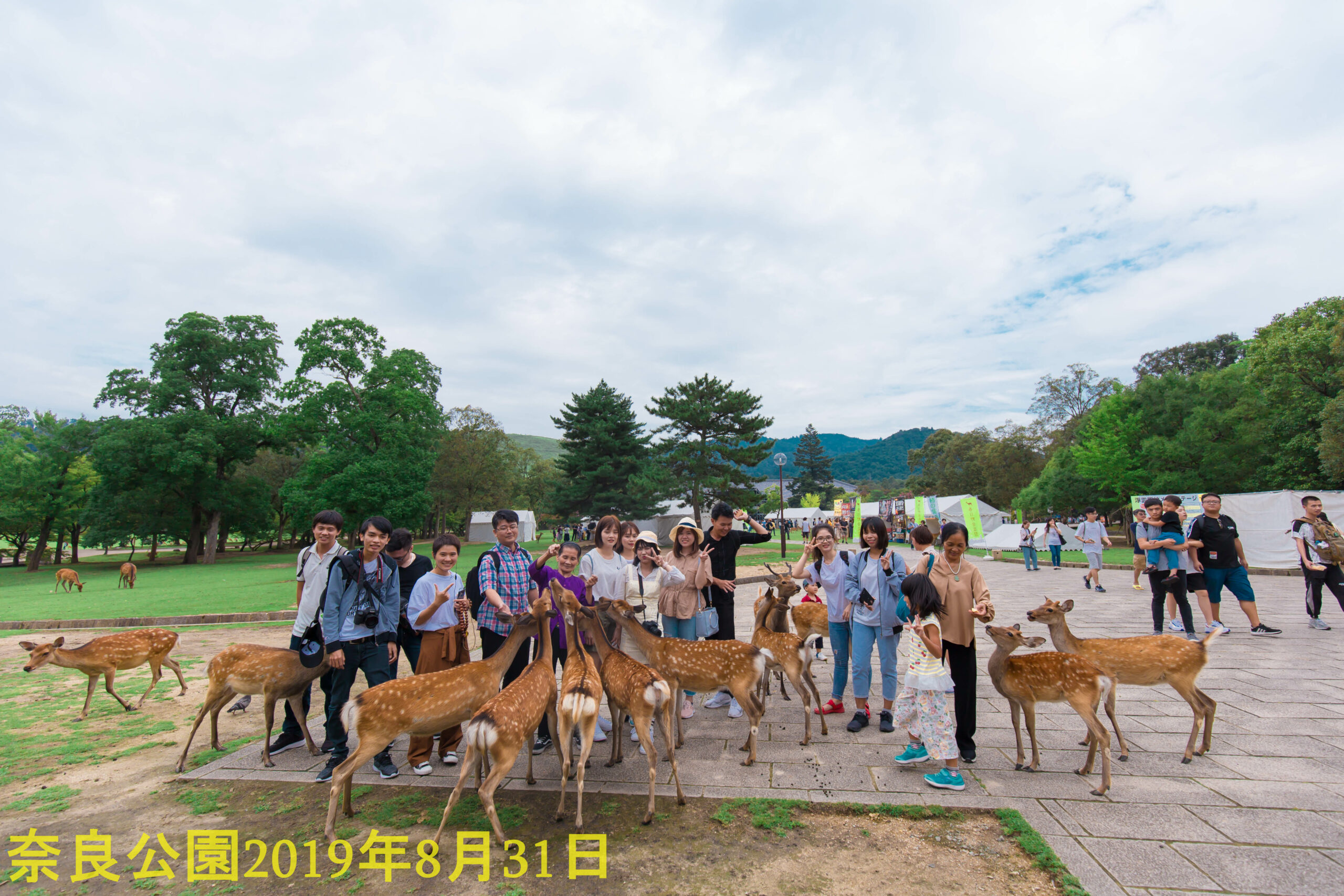 Công viên Nara với hình ảnh thân thiện giữa du khách và h
<figure class=
